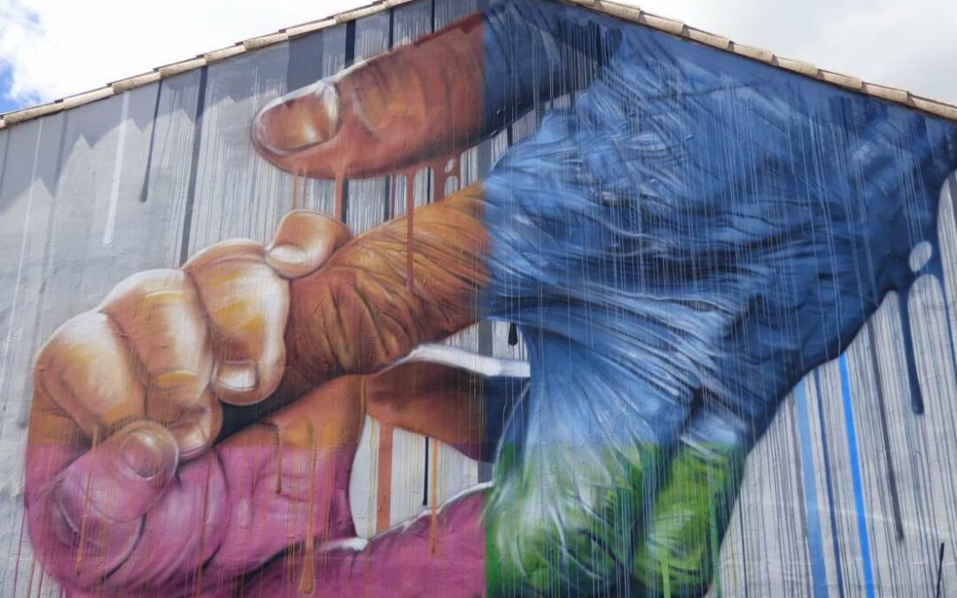 Seno, artiste Graff Montpellier