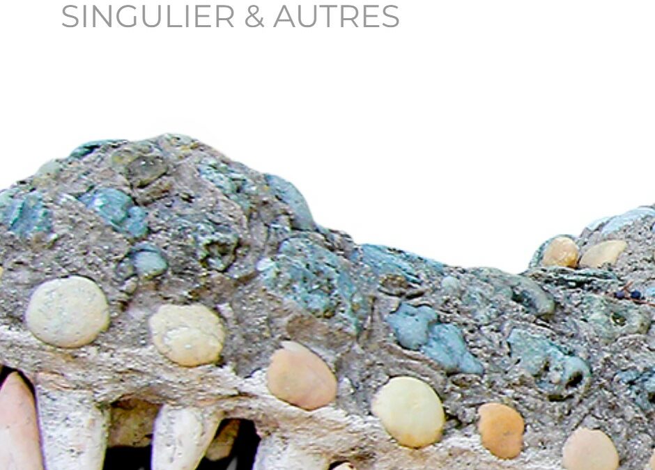 Musée L’atelier arts brut Montpellier