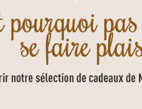 Venez découvrir notre sélection de cadeaux de Noël !